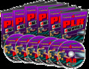 Thumbnail PLR4Newbies Video Series