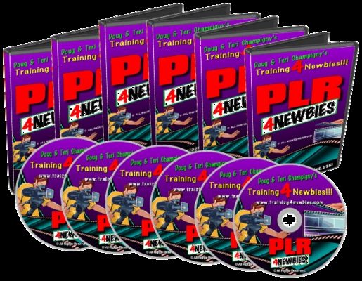 Product picture PLR4Newbies Video Series